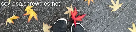 Rosanne Blog Banner