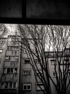 Monochrome Series: A photographer waiting for the bus thumbnail