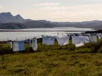 The one place where I would love to do my laundry thumbnail