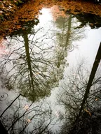 [PHOTO] Reflections | How would you define your 2018? thumbnail