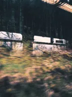 [PHOTO] Taking pictures through dirty train windows #15 thumbnail