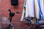 About travel plans and a shocking diagnosis in a hospital in Beijing thumbnail