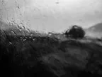 [PHOTO] Taking pictures through dirty train windows #26 thumbnail