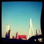 Fossils from my photo archives: Erasmusbrug Rotterdam thumbnail