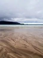 That day I decided to go meet cows on a beach [And met one as cripple as me] thumbnail