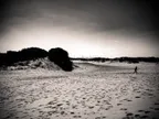 Monochrome Series: Running away thumbnail