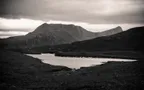 Monochrome Series: Mountain Rhino and its mirror thumbnail