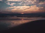 [PHOTO] A day on a Dutch beach #2 thumbnail