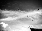Monochrome Series: A mixture of serendipity and anticipation thumbnail