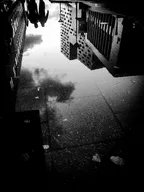 Monochrome Series: The beauty of Rain thumbnail