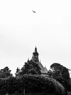 Monochrome series: a millisecond makes all the difference thumbnail