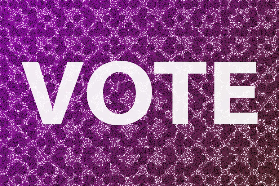vote_netcoins.jpg