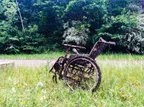 The mystery of the abandoned wheelchair thumbnail