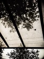 Photo Experiments: How many variations can you create from one picture? thumbnail