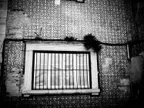 Monochrome series: Imperfection makes perfect thumbnail