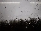 [PHOTO] Taking pictures through dirty train windows #25 thumbnail