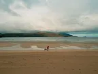 The huntress and the beach scavenger thumbnail
