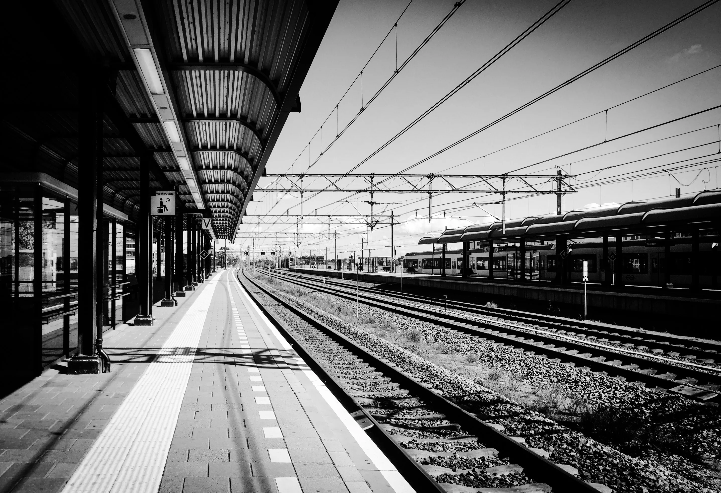 D92F8858-8A0B-4EFE-B0AD-3DE77C9DF42F.JPEG