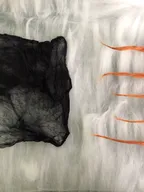 The making of a Nuno-Felted Scarf | Process #1 thumbnail