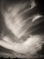 Monochrome Series: Feather in the sky thumbnail