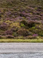 Places have colors: Purple for Scotland thumbnail