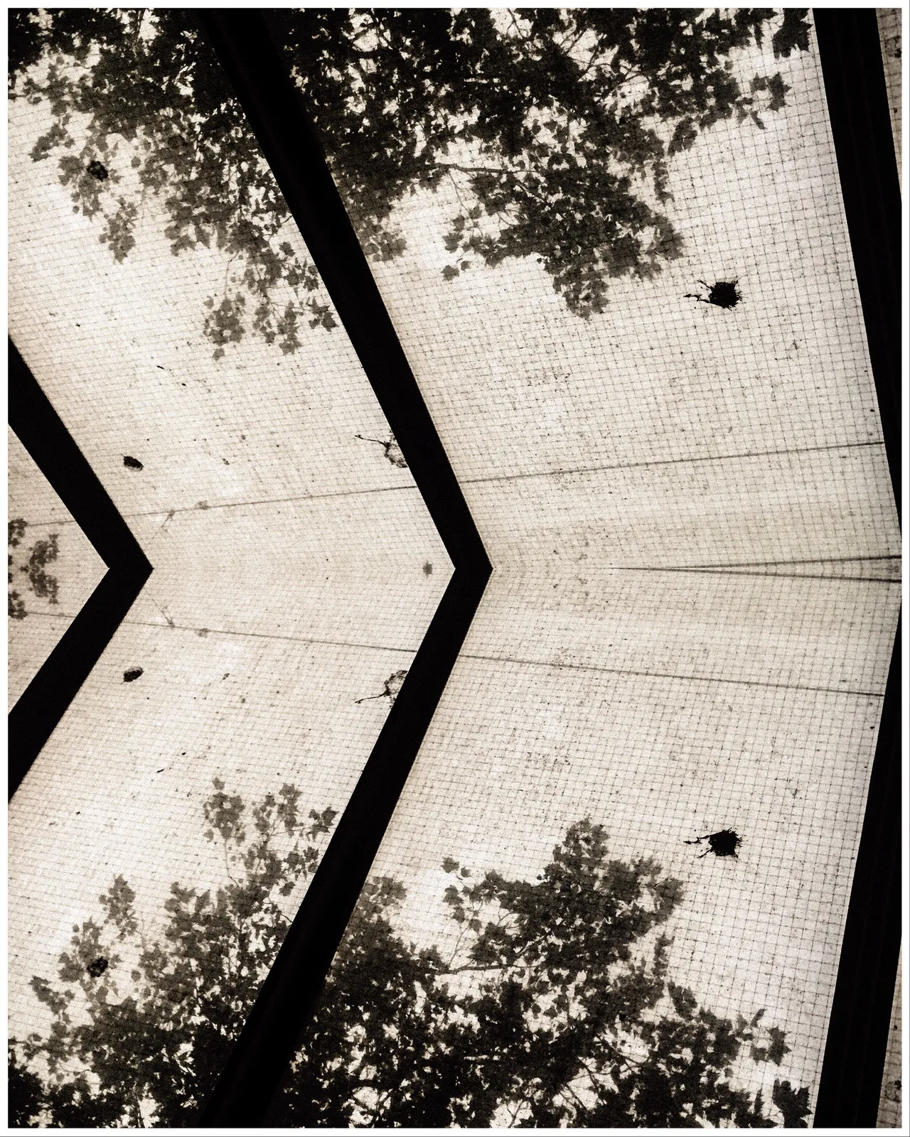 Photo_Variation_35_copyright_rosanne_dubbeld.JPEG
