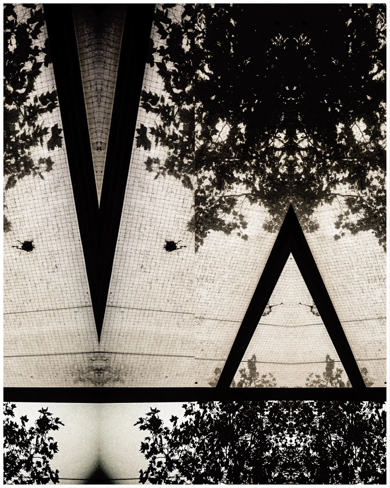 Photo_Variation_31_copyright_rosanne_dubbeld.JPEG