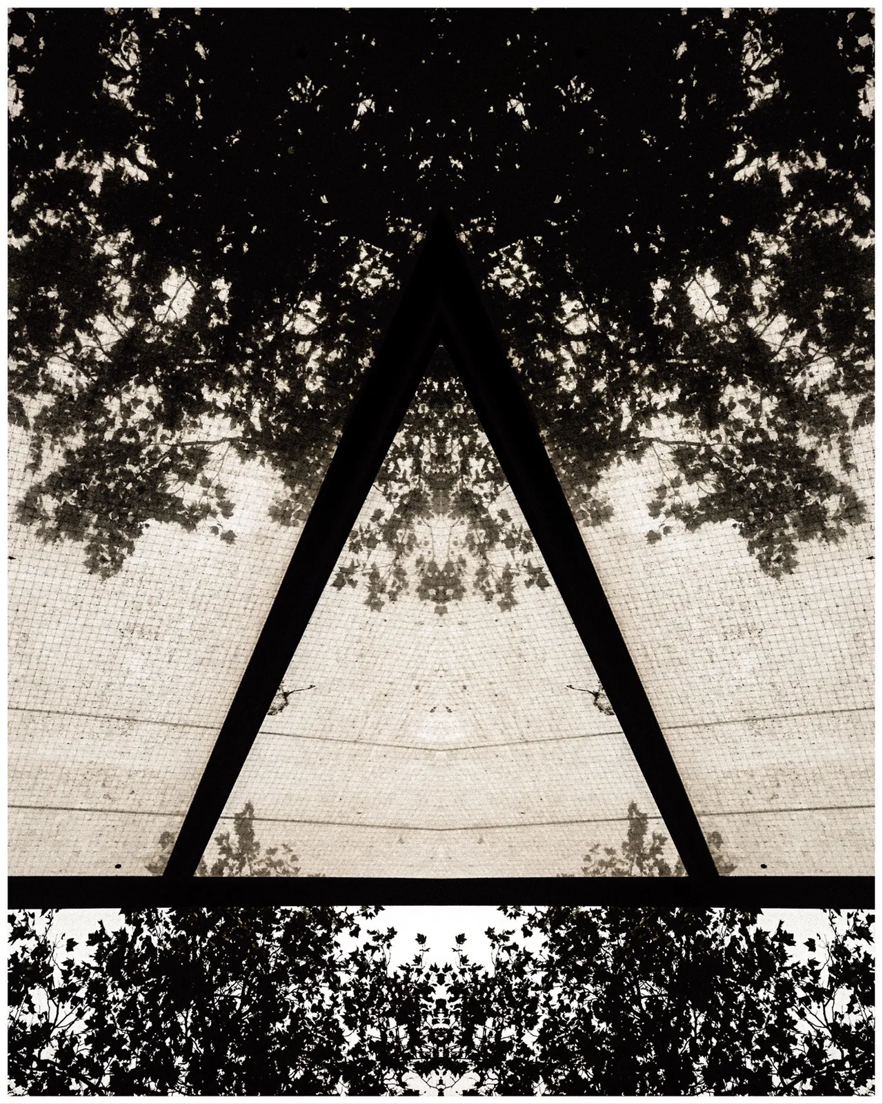 Photo_Variation_33_copyright_rosanne_dubbeld.JPEG