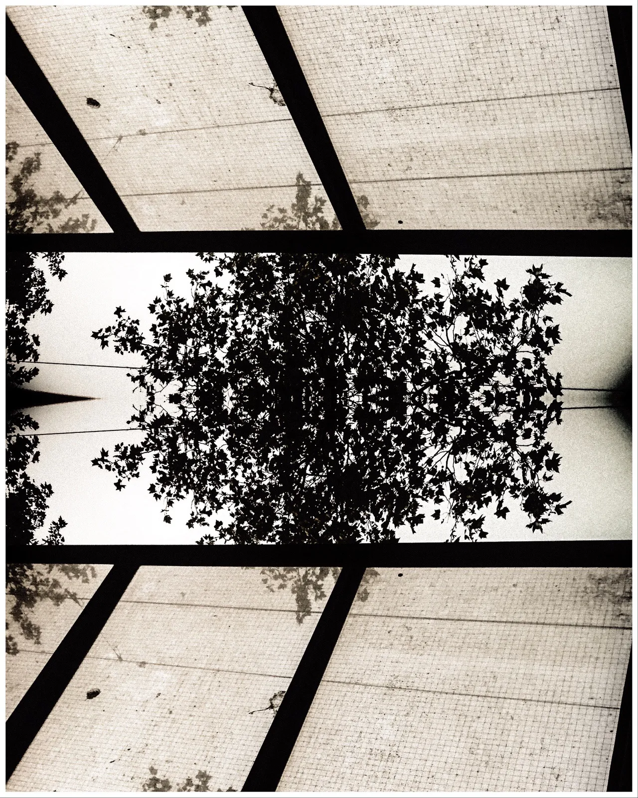 Photo_Variation_30_copyright_rosanne_dubbeld.JPEG