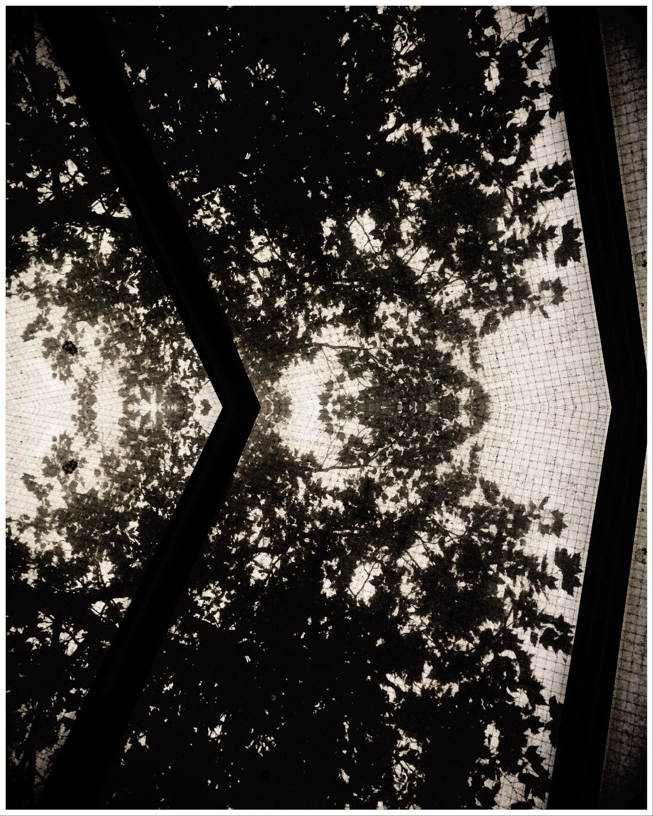 Photo_Variation_36_copyright_rosanne_dubbeld.JPEG