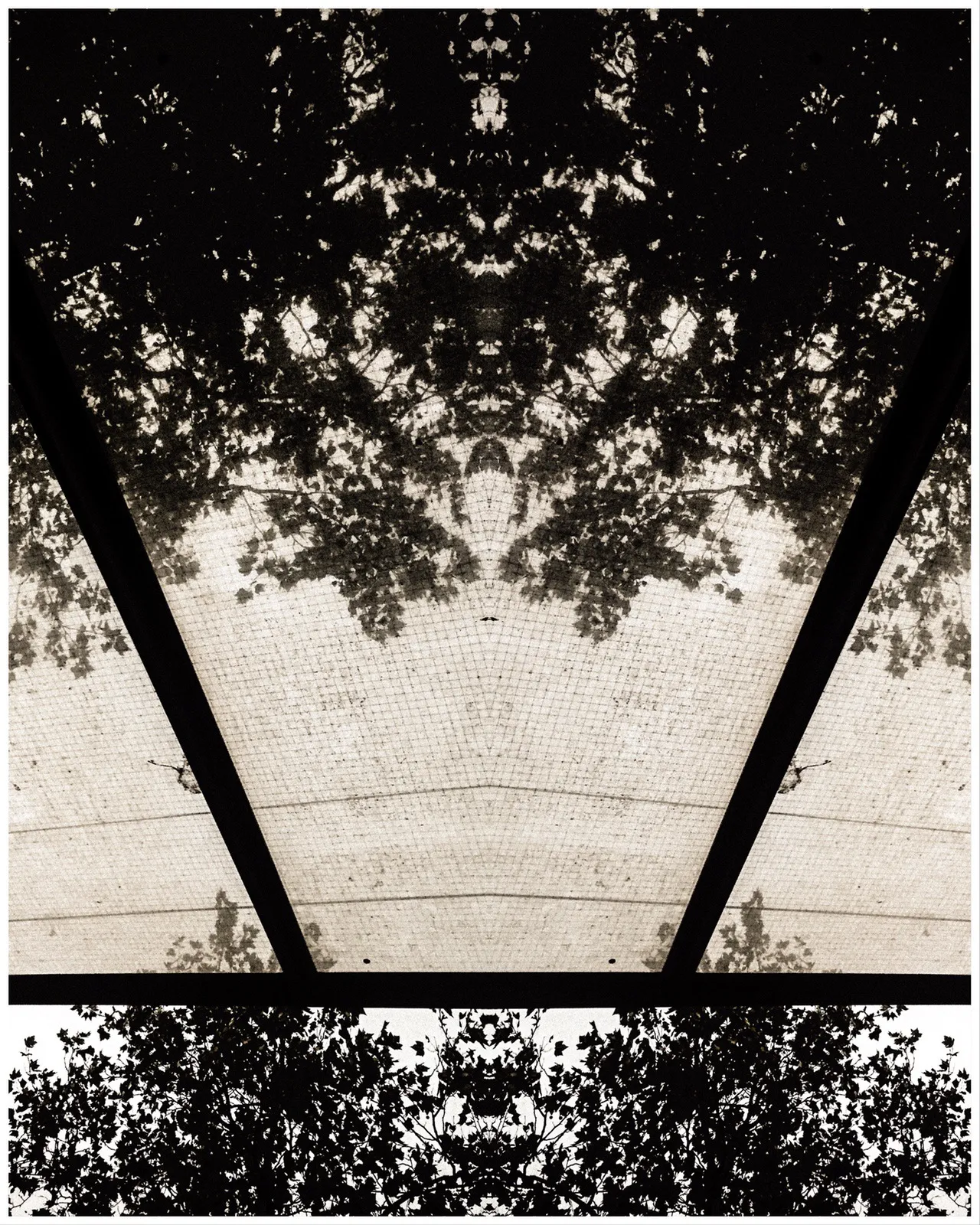 Photo_Variation_27_copyright_rosanne_dubbeld.JPEG