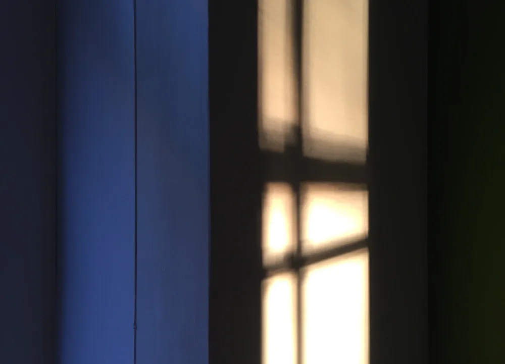 shadowswall__copyright_rosanne-dubbeld17.JPEG