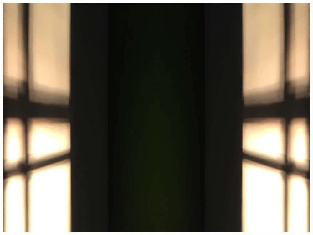 shadowswall__copyright_rosanne-dubbeld7.JPEG