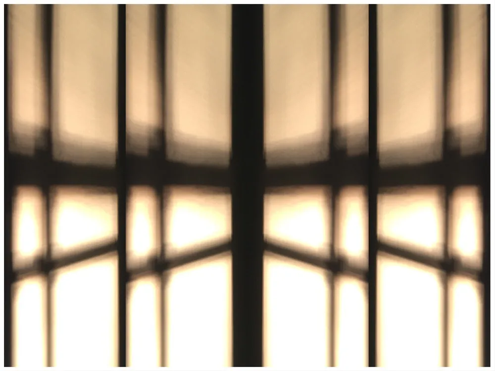 shadowswall__copyright_rosanne-dubbeld15.JPEG