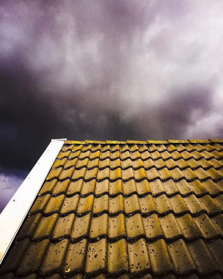 rooftop.jpg