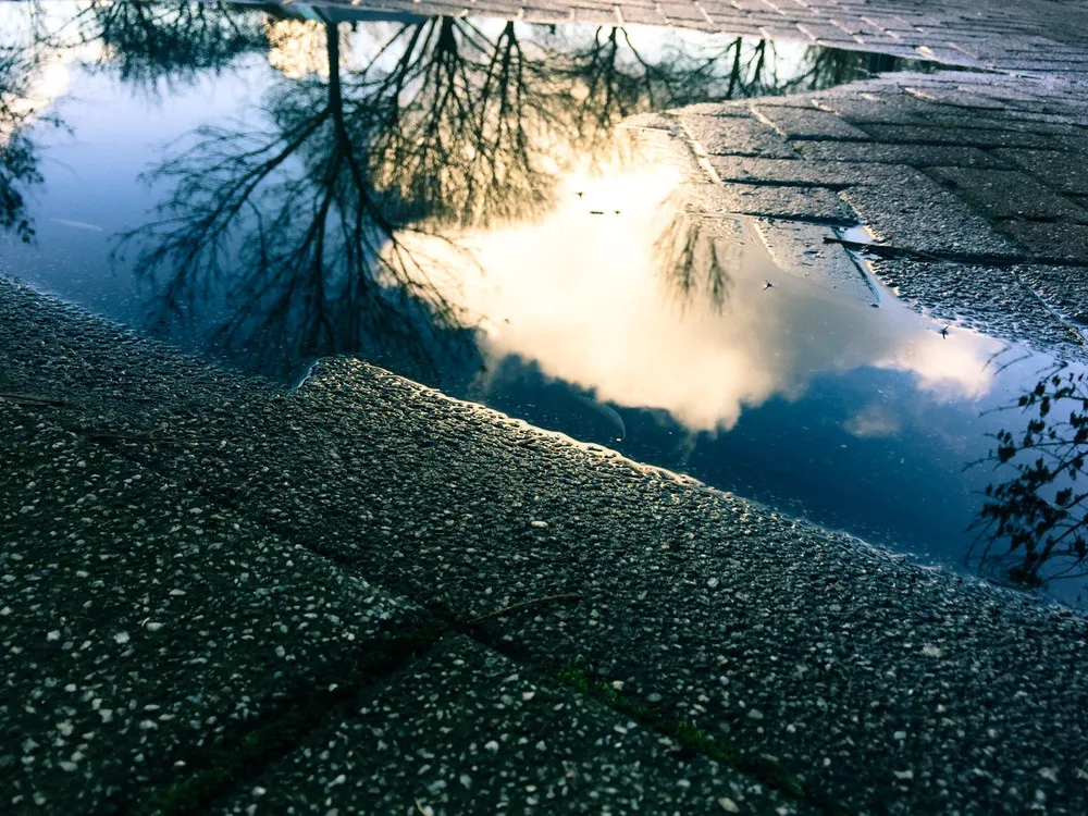 puddle_copyright-rosanne-dubbeld.JPEG