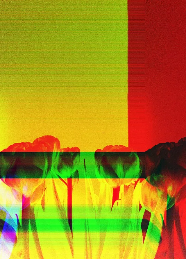 tulips_1.JPG