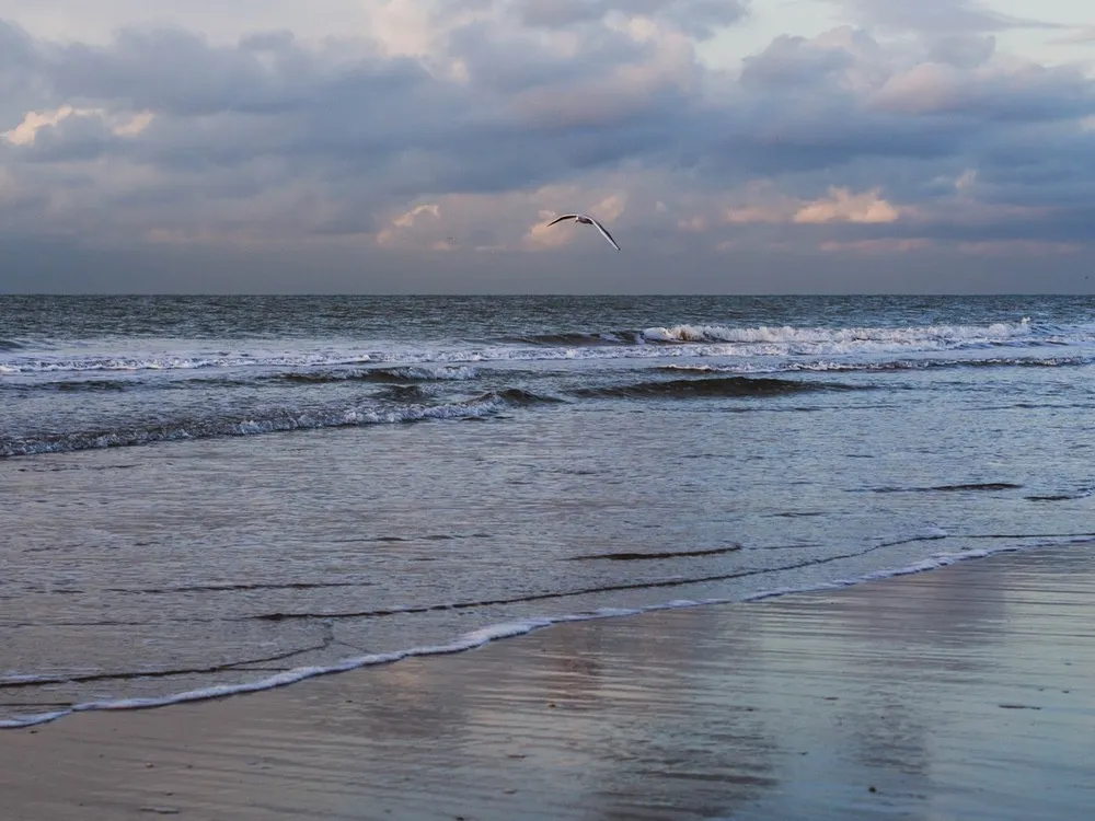 PB084738_copyright_rosannedubbeld.jpg