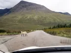 The North-Coast 500: a detour to the Isle of Skye thumbnail