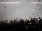 Some people leave a mark thumbnail