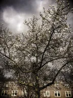 Springtime and how Dutchies love to go outside with the first rays of sun | Stricter lock-down measures incoming? thumbnail