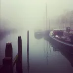 Fossils from my photo archives: A misty day in Rotterdam thumbnail