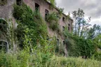 Overgrowth in Fort de la Chartreuse, Belgium thumbnail