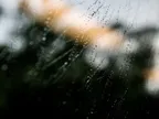 [PHOTO] Taking pictures through dirty train windows #22 thumbnail